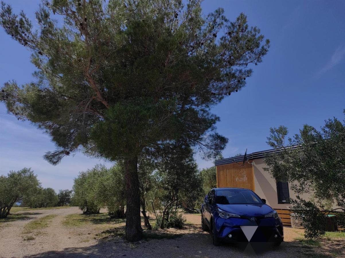 Zen Zone Premium Mobile Home Drage Kültér fotó